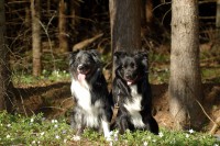 /album/bildgalleri/a032-jpg/