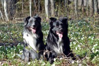 /album/bildgalleri/a068-jpg/