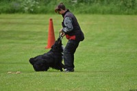 /album/bildgalleri/dsc-0011-jpg/