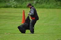 /album/bildgalleri/dsc-0012-jpg/