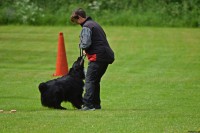 /album/bildgalleri/dsc-0013-jpg/