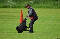 /album/bildgalleri/dsc-0014-jpg/