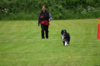 /album/bildgalleri/dsc-0036-jpg/