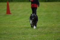 /album/bildgalleri/dsc-0038-jpg/