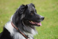 /album/bildgalleri/dsc-0087-jpg/