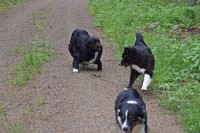 /album/bildgalleri/dsc-0114-jpg/