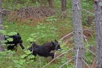 /album/bildgalleri/dsc-0150-jpg/