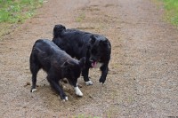 /album/bildgalleri/dsc-0196-jpg/