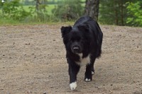 /album/bildgalleri/dsc-0289-jpg/