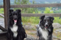 /album/bildgalleri/dsc-0303-jpg/