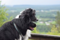 /album/bildgalleri/dsc-0313-jpg/