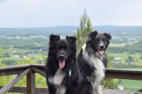 /album/bildgalleri/dsc-0332-jpg/