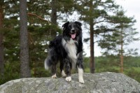 /album/bildgalleri/dsc-0351-jpg/