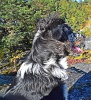 /album/bildgalleri/a018-jpg2/