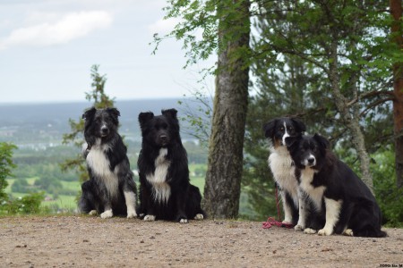 Zanto, Pepsi, Hope och Emmi