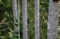 /album/djur-och-natur/a015-jpg/